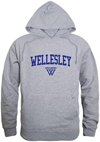 Wellesley Koleji Mavi Oyun Günü Polar Hoodie Tişörtü