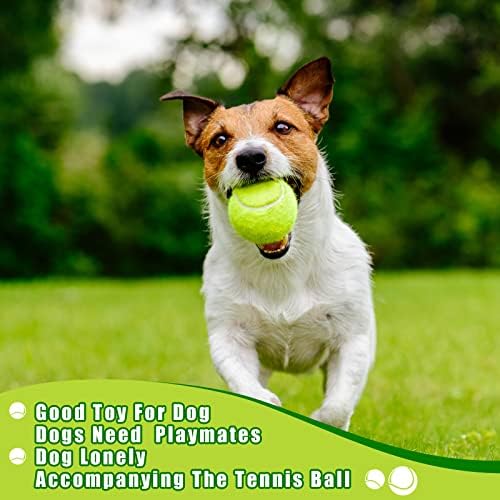 90 Adet Tenis Topları Toplu Basınçsız Tenis Topu Eğitim Tenis Topları ile Yeni Başlayanlar için 12 Adet Taşıma Çantası Kolay