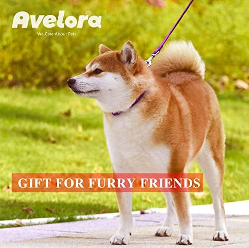 AVELORA 4FT Küçük köpek tasması ve Tasma seti, Küçük Orta Evcil hayvan için çan ile ayarlanabilir köpek tasması ve Yaka seti,