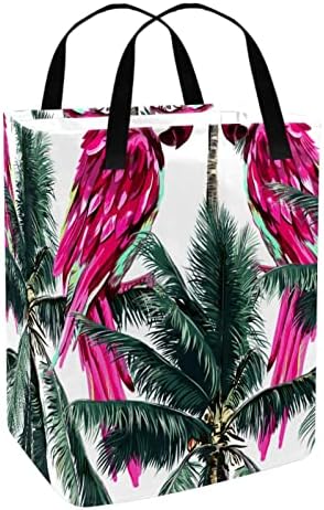 Tropikal Papağanlar Kuşlar Plam Ağacı Egzotik Baskı Katlanabilir Çamaşır Sepeti, 60L Su Geçirmez çamaşır sepetleri Çamaşır