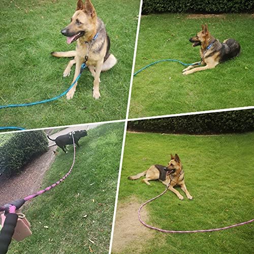 MayPaw 10FT Halat Köpek Tasma, 1/2 Güçlü Naylon Orta Köpek Tasma ile Yumuşak Yastıklı Kolu Köpek Kurşun Eğitim Çekiş için