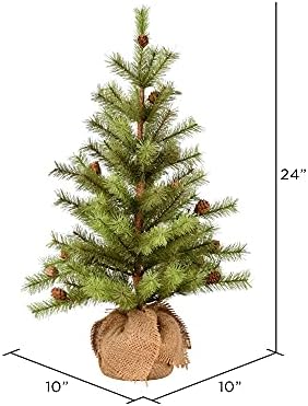Vickerman 24 Vernon Çam Yapay Noel Ağacı, Aydınlatılmamış Sahte Masa Üstü Yılbaşı Ağacı-Mevsimsel Kapalı Ev Dekor