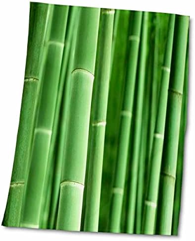 3dRose Florene Doğa-Bambu Upclose-Havlular (twl-46614-1)