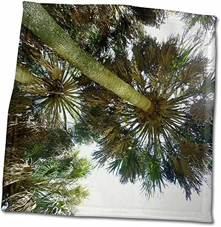 3dRose Florene Ağaçları - Avuç İçlerinin Altında - Havlular (twl-31153-1)